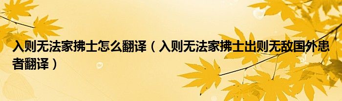 入則無法家拂士怎么翻譯（入則無法家拂士出則無敵國外患者翻譯）