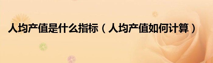 人均產(chǎn)值是什么指標（人均產(chǎn)值如何計算）