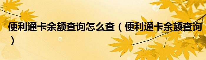 便利通卡余額查詢?cè)趺床椋ū憷ㄓ囝~查詢）