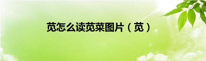 莧怎么讀莧菜圖片（莧）