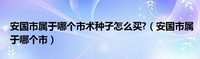 安國市屬于哪個市術(shù)種子怎么買?（安國市屬于哪個市）