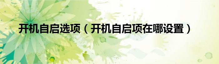 開機自啟選項（開機自啟項在哪設(shè)置）