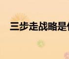 三步走戰(zhàn)略是什么?（三步走戰(zhàn)略是什么）