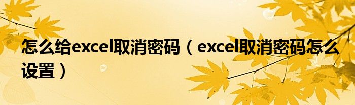 怎么給excel取消密碼（excel取消密碼怎么設置）