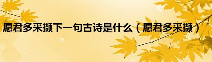 愿君多采擷下一句古詩是什么（愿君多采擷）