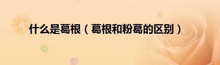 什么是葛根（葛根和粉葛的區(qū)別）