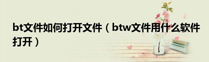bt文件如何打開文件（btw文件用什么軟件打開）