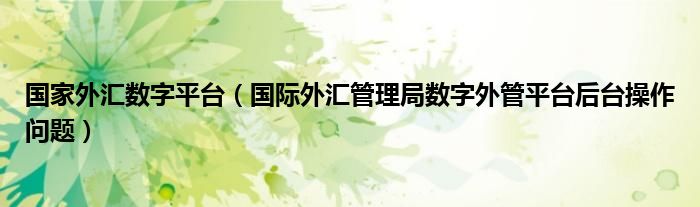 國家外匯數(shù)字平臺（國際外匯管理局?jǐn)?shù)字外管平臺后臺操作問題）