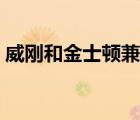 威剛和金士頓兼容嗎（威剛和金士頓哪個好）