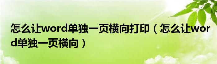 怎么讓word單獨一頁橫向打?。ㄔ趺醋寃ord單獨一頁橫向）
