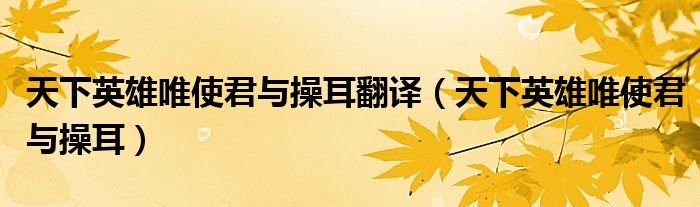 天下英雄唯使君與操耳翻譯（天下英雄唯使君與操耳）