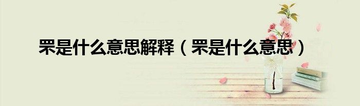 罘是什么意思解釋（罘是什么意思）