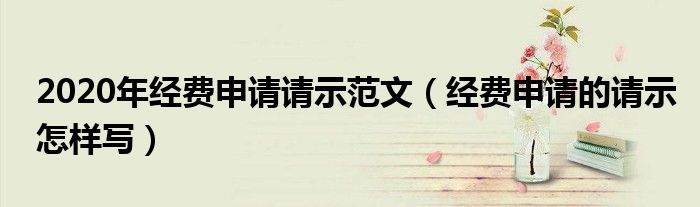 2020年經(jīng)費(fèi)申請(qǐng)請(qǐng)示范文（經(jīng)費(fèi)申請(qǐng)的請(qǐng)示怎樣寫）