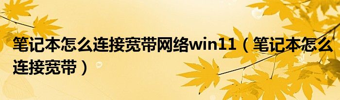 筆記本怎么連接寬帶網(wǎng)絡(luò)win11（筆記本怎么連接寬帶）