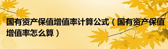 國有資產(chǎn)保值增值率計(jì)算公式（國有資產(chǎn)保值增值率怎么算）