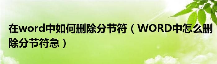 在word中如何刪除分節(jié)符（WORD中怎么刪除分節(jié)符急）