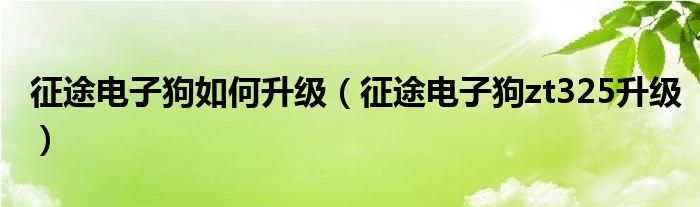 征途電子狗如何升級(jí)（征途電子狗zt325升級(jí)）