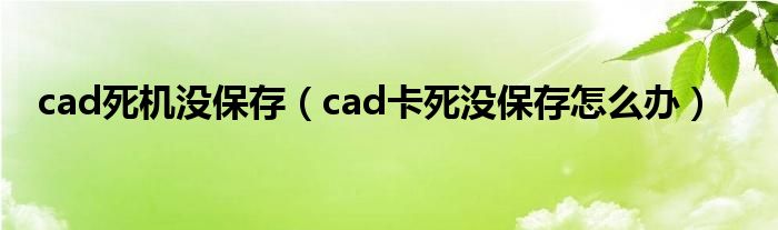 cad死機(jī)沒(méi)保存（cad卡死沒(méi)保存怎么辦）