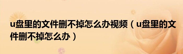 u盤里的文件刪不掉怎么辦視頻（u盤里的文件刪不掉怎么辦）