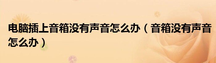 電腦插上音箱沒有聲音怎么辦（音箱沒有聲音怎么辦）