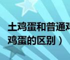 土雞蛋和普通雞蛋的區(qū)別顏色（土雞蛋和普通雞蛋的區(qū)別）