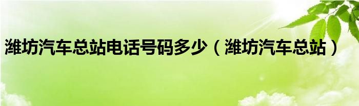 濰坊汽車總站電話號碼多少（濰坊汽車總站）