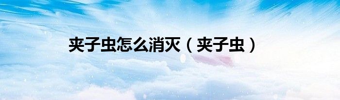 夾子蟲怎么消滅（夾子蟲）