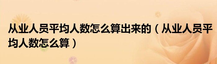 從業(yè)人員平均人數(shù)怎么算出來的（從業(yè)人員平均人數(shù)怎么算）