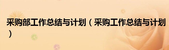 采購部工作總結(jié)與計(jì)劃（采購工作總結(jié)與計(jì)劃）
