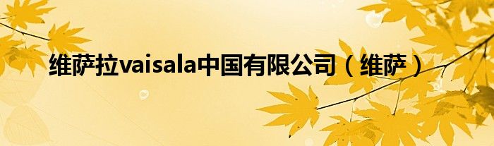 維薩拉vaisala中國有限公司（維薩）