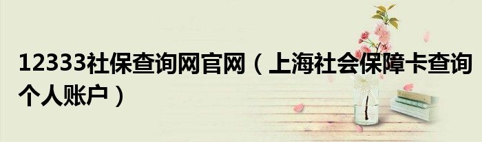 12333社保查詢網(wǎng)官網(wǎng)（上海社會保障卡查詢個人賬戶）