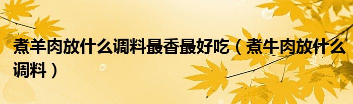 煮羊肉放什么調(diào)料最香最好吃（煮牛肉放什么調(diào)料）
