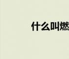 什么叫燃點（燃點是什么意思）