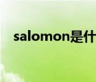 salomon是什么牌子（loho是什么牌子）