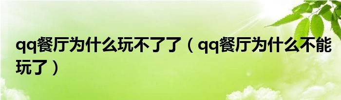 qq餐廳為什么玩不了了（qq餐廳為什么不能玩了）