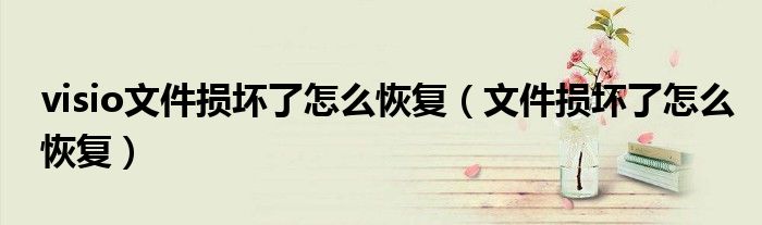 visio文件損壞了怎么恢復(fù)（文件損壞了怎么恢復(fù)）