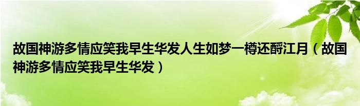 故國神游多情應(yīng)笑我早生華發(fā)人生如夢一樽還酹江月（故國神游多情應(yīng)笑我早生華發(fā)）