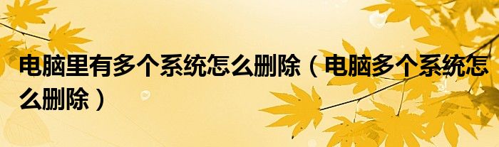 電腦里有多個系統(tǒng)怎么刪除（電腦多個系統(tǒng)怎么刪除）
