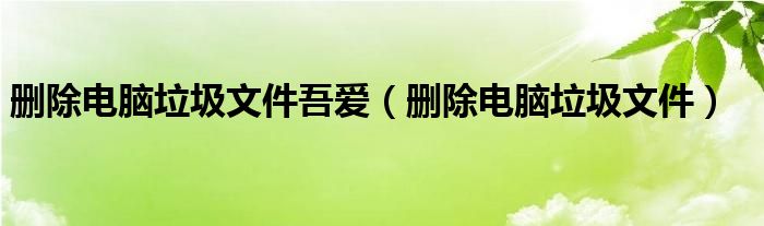 刪除電腦垃圾文件吾愛（刪除電腦垃圾文件）