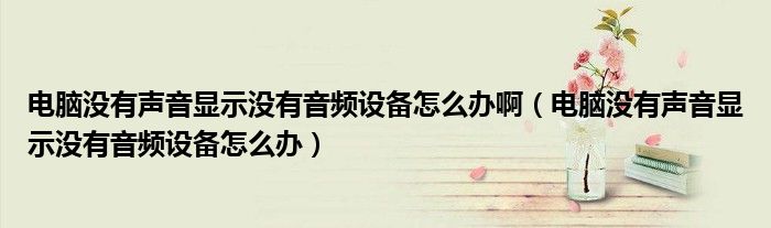 電腦沒有聲音顯示沒有音頻設(shè)備怎么辦?。娔X沒有聲音顯示沒有音頻設(shè)備怎么辦）