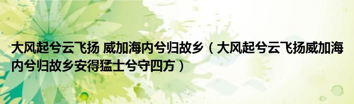 大風起兮云飛揚 威加海內(nèi)兮歸故鄉(xiāng)（大風起兮云飛揚威加海內(nèi)兮歸故鄉(xiāng)安得猛士兮守四方）