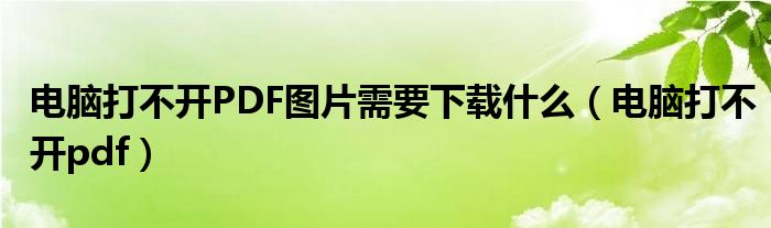 電腦打不開(kāi)PDF圖片需要下載什么（電腦打不開(kāi)pdf）