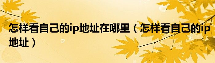 怎樣看自己的ip地址在哪里（怎樣看自己的ip地址）