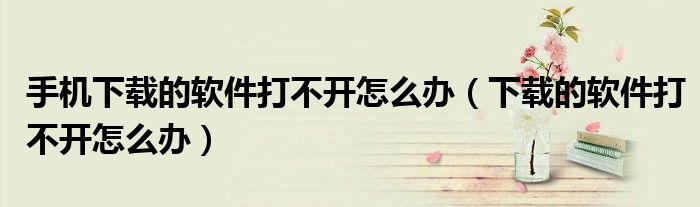 手機(jī)下載的軟件打不開怎么辦（下載的軟件打不開怎么辦）