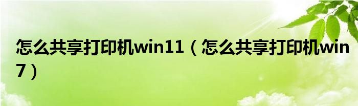 怎么共享打印機(jī)win11（怎么共享打印機(jī)win7）