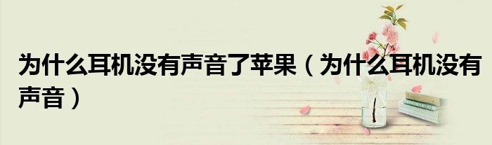 為什么耳機(jī)沒有聲音了蘋果（為什么耳機(jī)沒有聲音）