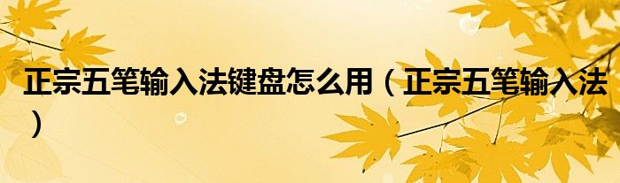 正宗五筆輸入法鍵盤怎么用（正宗五筆輸入法）