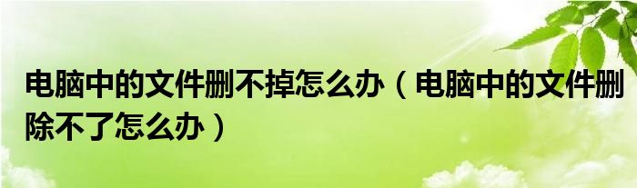 電腦中的文件刪不掉怎么辦（電腦中的文件刪除不了怎么辦）
