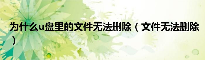 為什么u盤里的文件無法刪除（文件無法刪除）