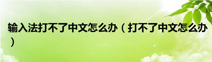 輸入法打不了中文怎么辦（打不了中文怎么辦）